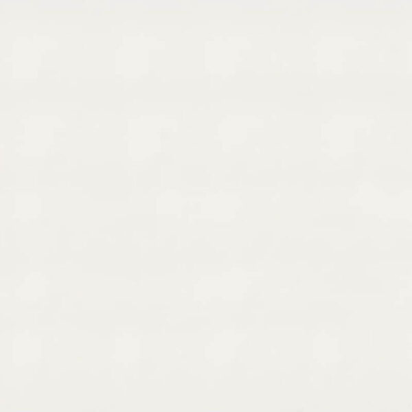 Vivid White OHM International