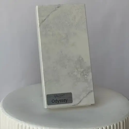 Odyssey-Sample.jpg