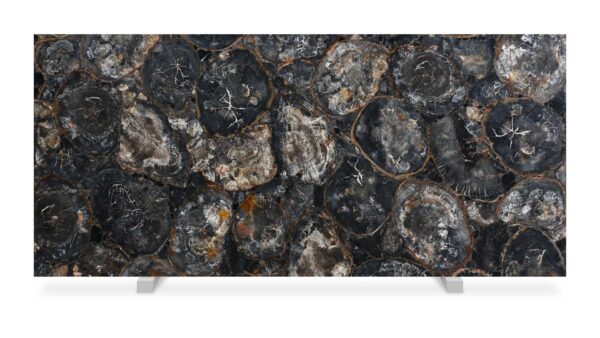 Black Petrified Wood