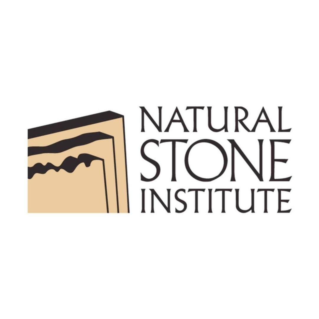 NSI LOGO