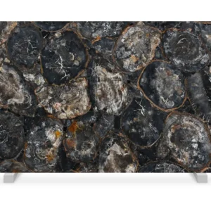 Black Petrified Wood