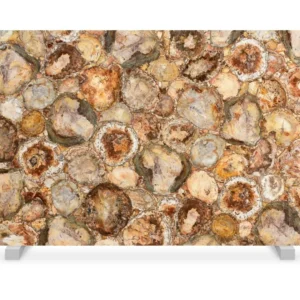 Petrified Wood