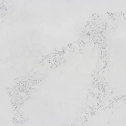 charlemagne-closeup.jpg
