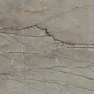 Striata