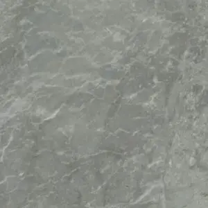 Silverdrop